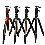 ���^�g���x���O�r�uX-go Gecko�v