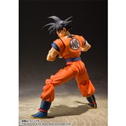 �uS.H.Figuarts �����-�n���炿�̃T�C���l-�v