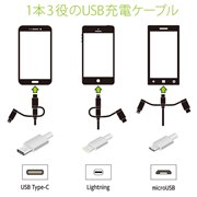 �uGH-ALTBCA�v�V���[�Y