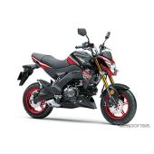 カワサキ Z125PRO - 価格.com