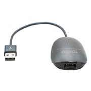 Digizo ShAir Disk PTW-SDISKL1