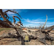 �A�[�X�G�N�X�v���[���[