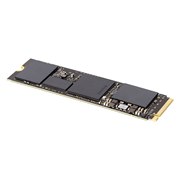 �T���f�B�X�N �G�N�X�g���[�� �v�� M.2 NVME 3D SSD