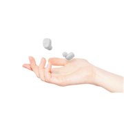 「Capsule(カプセル)」