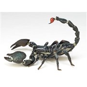 ���{�W�I �_�C�I�E�T�\��