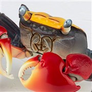 �u���{�W�I �A�J�e�K�j�v