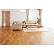 「大清快」DRシリーズ