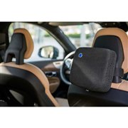 ���̎ԍڗp��C����@�uBlueair Cabin�v