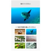 ���k��w�����w������ �쓇���������ďC �]��b�����l��Nintendo Switch�g���[�j���O