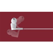 ROCKSTAR USB-C �R�l�N�^�t���C���t�H��