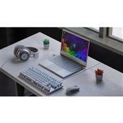 �uRazer Blade Stealth 13�v�V���f��