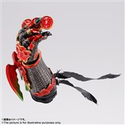 S.H.Figuarts�i�^�������@�j �A���N