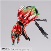 S.H.Figuarts�i�^�������@�j �A���N