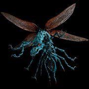 �^�P�������ݒu�� ���̒J�̃i�E�V�J �剤�����}