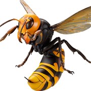 ���{�W�I �I�I�X�Y���o�`