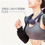 FLEX �H���Ȃ��񂩂���@