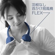 FLEX �H���Ȃ��񂩂���@