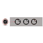 INSTINCT EVANGELION Edition