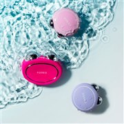 BEAR �t�N�V�A�ABEAR mini