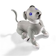 �uaibo ������ �G�f�B�V�����v