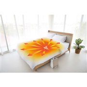 �ӂƂ񊣑��@ �J�����G FK-D1