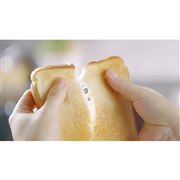 「アラジン グラファイト グリル&トースター」