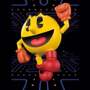 S.H.Figuarts �p�b�N�}��