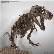 1/32 Imaginary Skeleton �e�B���m�T�E���X