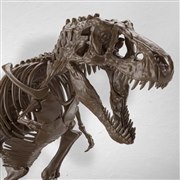 1/32 Imaginary Skeleton �e�B���m�T�E���X