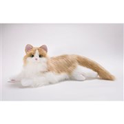 �u�����ۂӂ�ӂ� ���܂���ڂ��˂������v