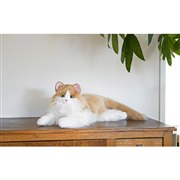 �u�����ۂӂ�ӂ� ���܂���ڂ��˂������v