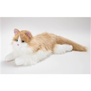 �u�����ۂӂ�ӂ� ���܂���ڂ��˂������v