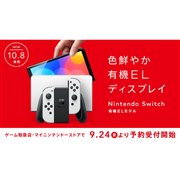 最新作即納No.19110 ニンテンドースイッチ本体　ホワイト その他