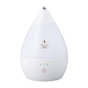 SHIZUKU Steam AHD-032