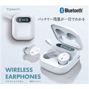 WIRELESS EARPHONES TOA-TM-S13BY