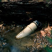 �uDE-NEST-5000�v