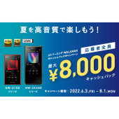 SONY NW-ZX507 [64GB] 価格比較 - 価格.com