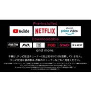 �uORION Android TV���� �`���[�i�[���X �X�}�[�g�e���r�v