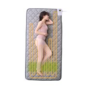 �u�ƒ�p�d�ʎ��Ê� �C�I�l�X �v���~�A�� AX-BIA603S�v