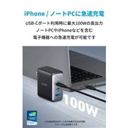 736 Charger(Nano II 100W)