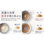 YAMAMOTO ���C�X�N���[�i�[ �ɂ���� YE-RC21A