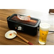 �u�����d�C���� ESR-Q100�v