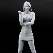 ハセガワ 1/12 12リアルフィギュア コレクション No.23 チャイナドレス