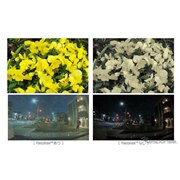 Recolize����i���j�ARecolize�Ȃ��i�E�j