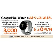 Google Pixel Watch [Polished Silver ステンレス ケース/Chalk ...