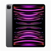 iPad Pro