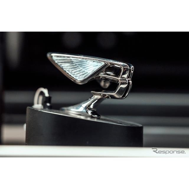 ベントレー（Bentley）は11月18日、4ドアサルーンの『フライングスパー』新型にオプション設定されている新...