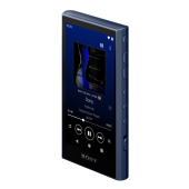 SONY NW-A306 (B) [32GB ブラック] 価格比較 - 価格.com