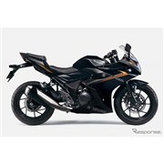 GSX 250R 2020年モデル パールホワイト × ブラック 2019年式 スズキGSX250Rの2020年モデルがカラーリングを変更して発売開始