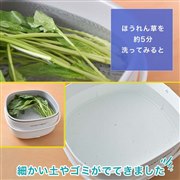 �u���N�x�W�E�H�b�V���[ ULTVEGCWH�v